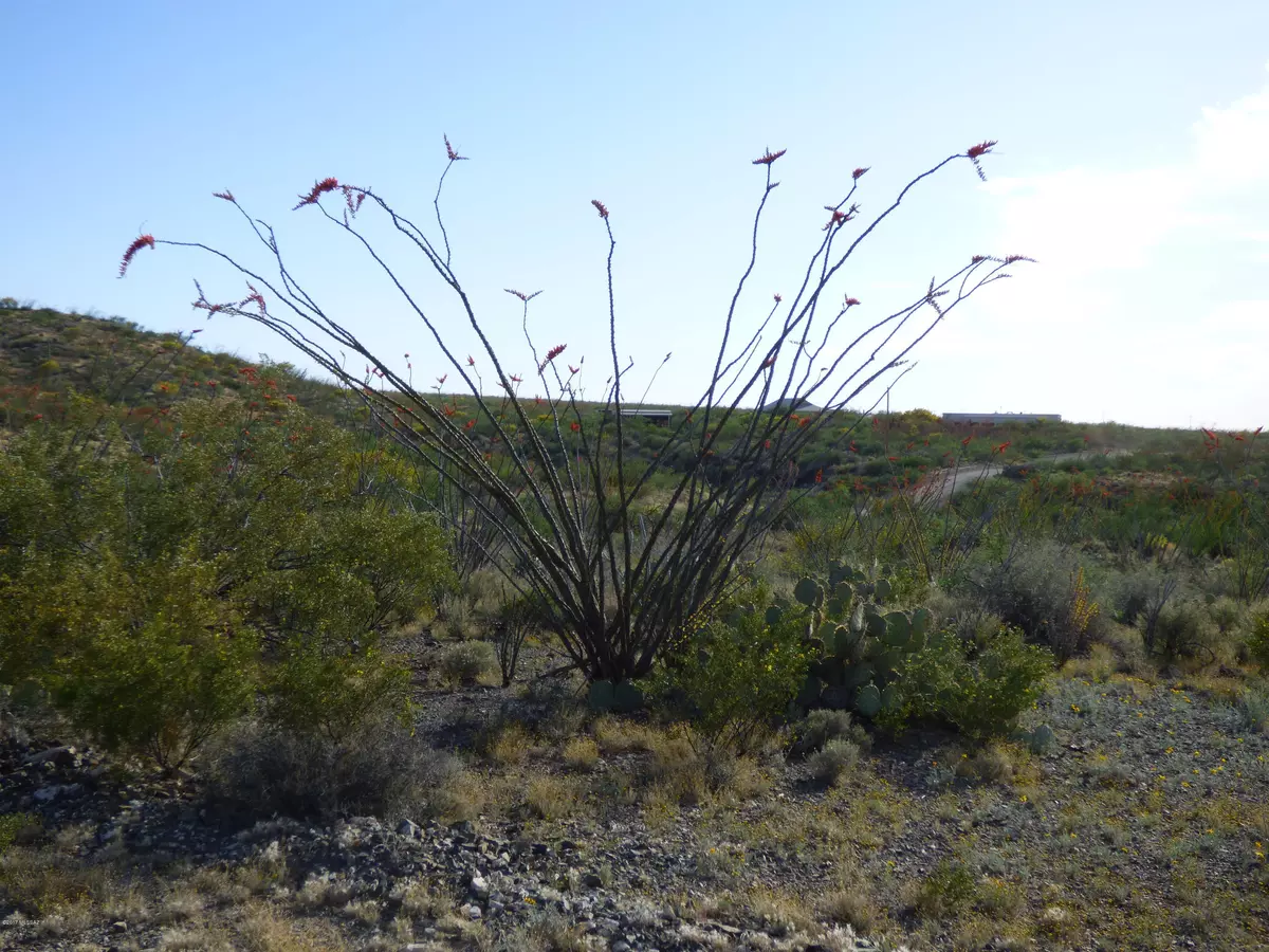 Vail, AZ 85641,0000 Ocotillo Rim N Trail