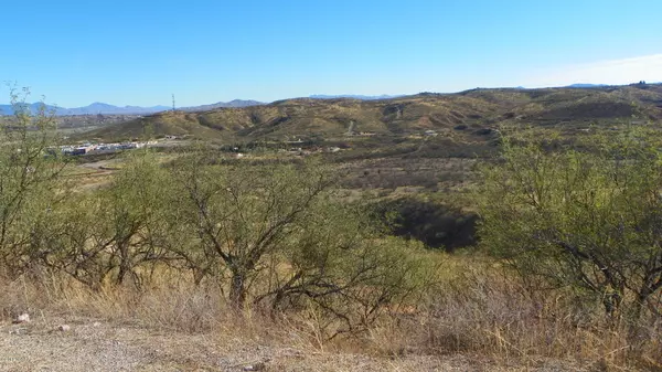 Rio Rico, AZ 85648,1440 Circulo Sombrero  #86