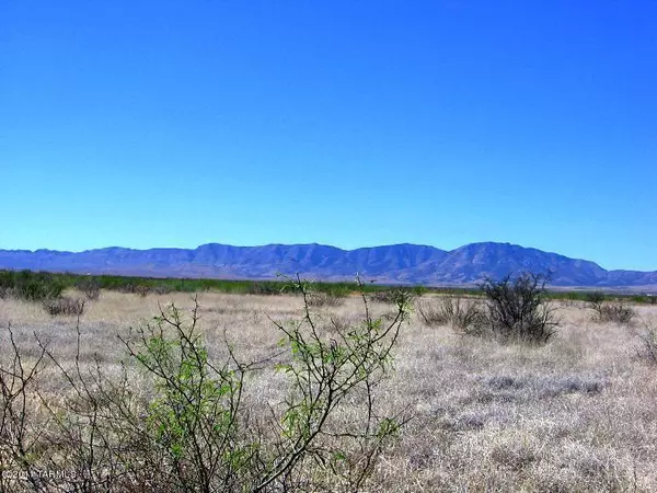 Pearce, AZ 85625,20 ACRE on Silver Lining Road #1