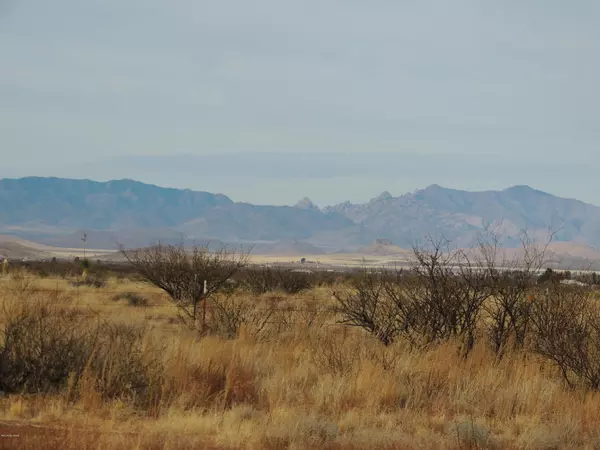 Pearce, AZ 85625,13780 S Parsons Drive