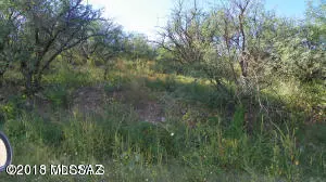 Rio Rico, AZ 85648,498 Camino Hombre De Oro  #41