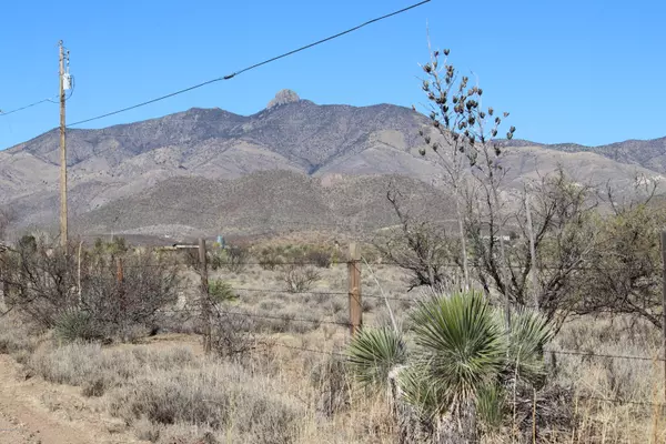 S Bascom Trail #55, Willcox, AZ 85643