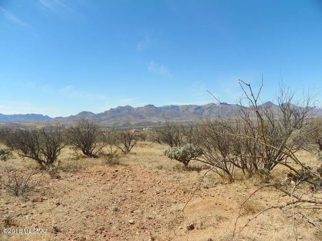 Rio Rico, AZ 85648,1656 Vereda Neblina  #56