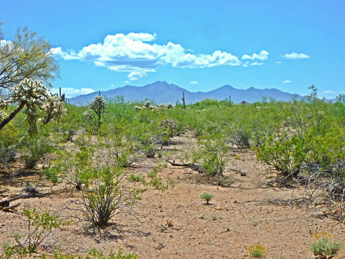 Sahuarita, AZ 85629,E Phantom Ranch Road