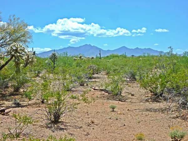 E Phantom Ranch Road, Sahuarita, AZ 85629