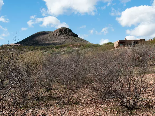 Tubac, AZ 85646,21 Western Saddle  #16