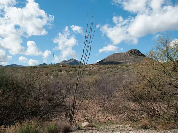 Tubac, AZ 85646,21 Western Saddle  #16