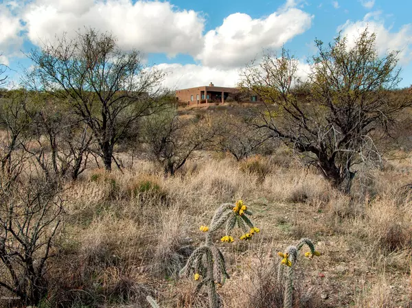 Tubac, AZ 85646,21 Western Saddle  #16