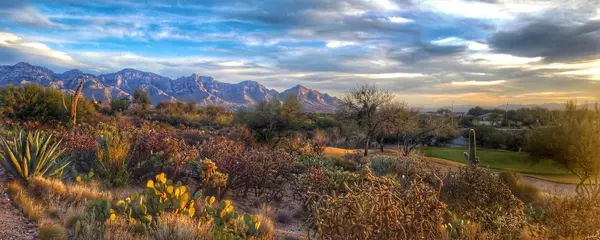 Oro Valley, AZ 85755,14359 N Spanish Garden Lane