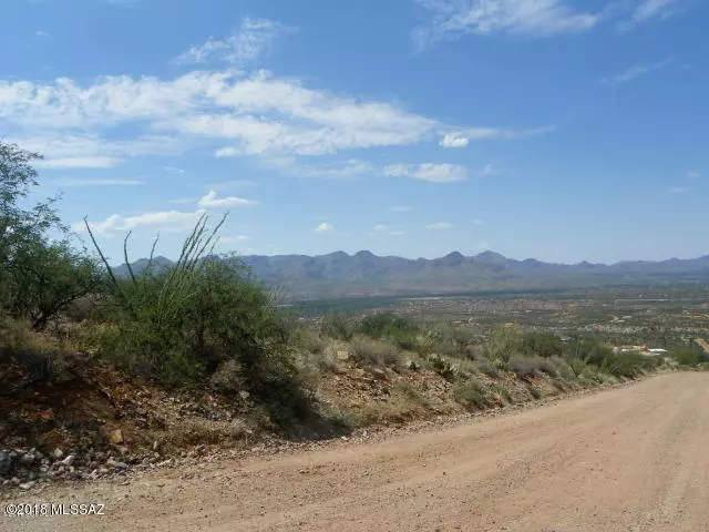 Rio Rico, AZ 85648,1575 Camino Esturion  #48