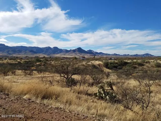 Rio Rico, AZ 85648,132 Avenida Pastor  #97