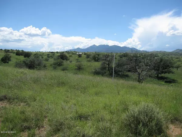 Sonoita, AZ 85637,13900 E Greaterville Road #5