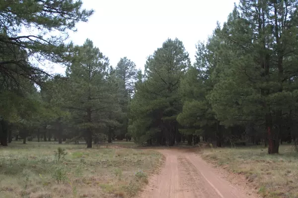 Flagstaff, AZ 86004,TBD Forest Rd 9420N
