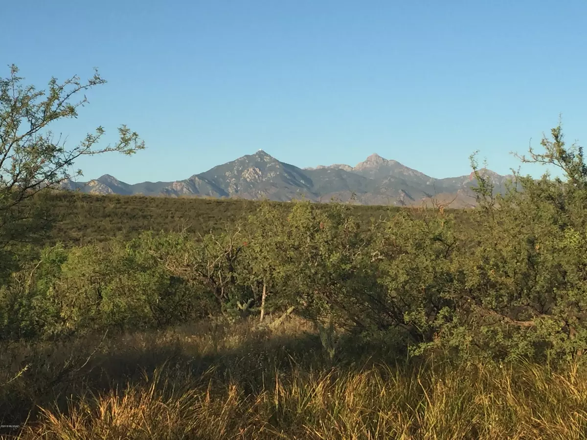 Tubac, AZ 85646,TBD Camino Chimeneas  #38