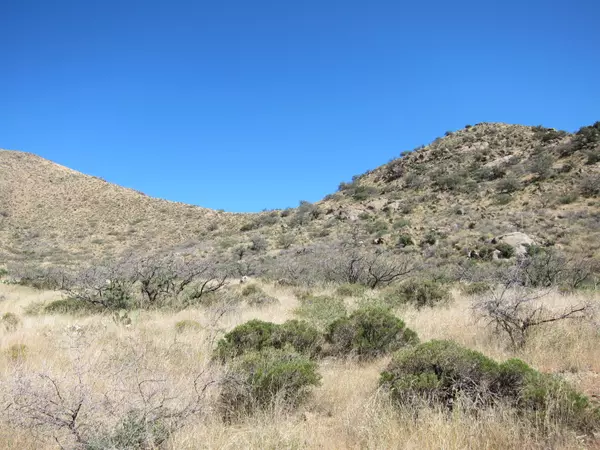 Willcox, AZ 85643,38.95ac W Love Lane #60