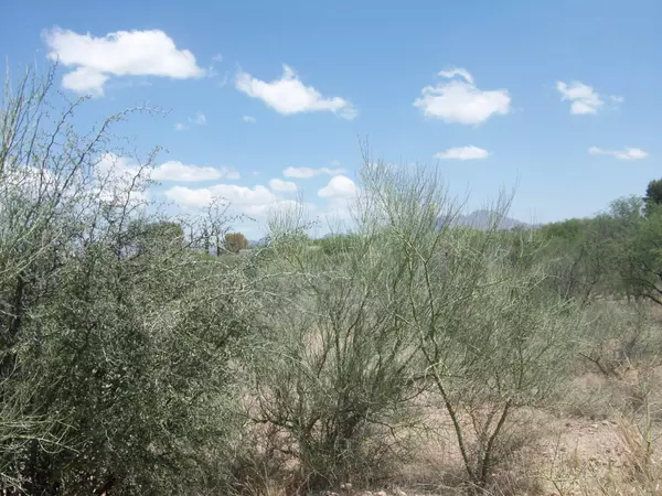 Tubac, AZ 85640,1 Avenida de Herran  #151