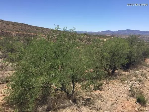 Rio Rico, AZ 85648,163 Camino Mar  #52