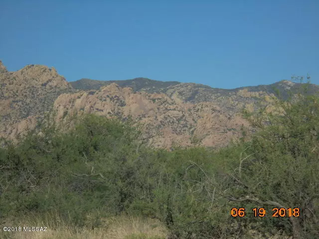 St. David, AZ 85630,TBD Dragoon Ranch Road #1