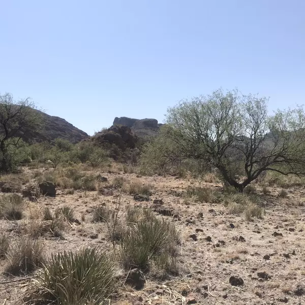 Rio Rico, AZ 85648,0000 Grosvenor Road #106