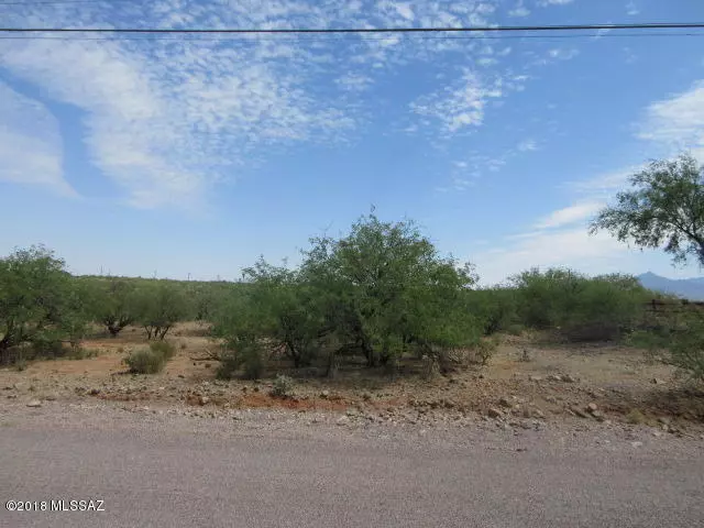 Rio Rico, AZ 85648,102 Camino Embarcadero  #159