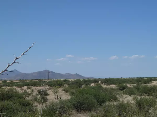 St. David, AZ 85630,42.89 ac E Horse Ranch Road #65