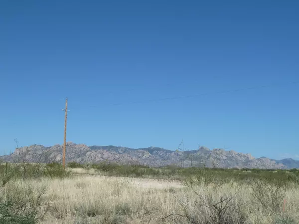 St. David, AZ 85630,42.89 ac E Horse Ranch Road #65