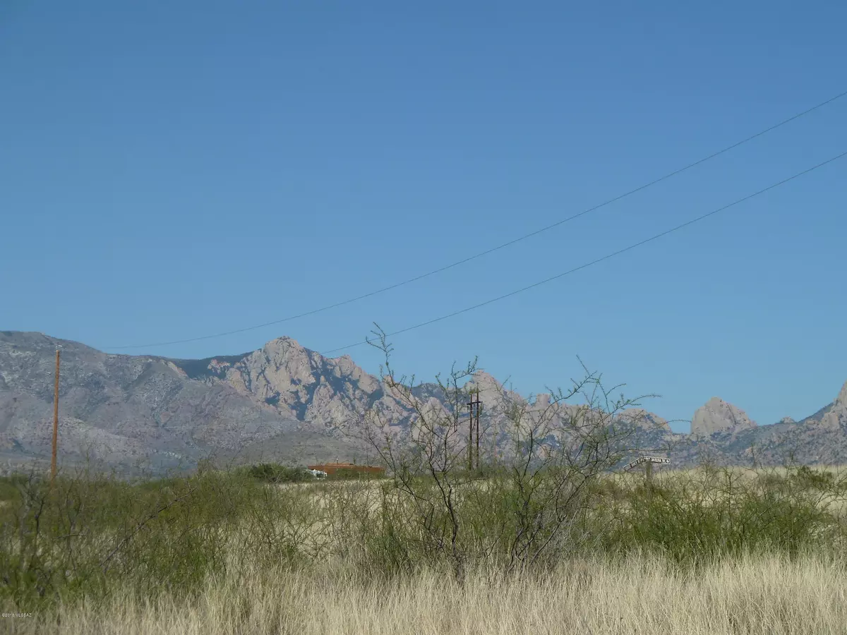 St. David, AZ 85630,42.89 ac E Horse Ranch Road #65