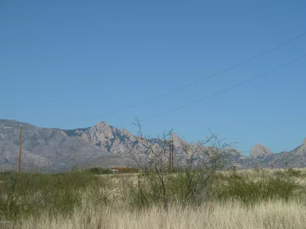 42.89 ac E Horse Ranch Road #65, St. David, AZ 85630