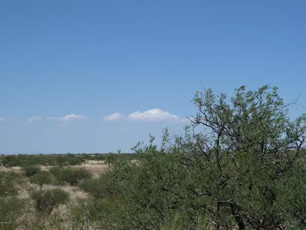 St. David, AZ 85630,42.89 ac E Horse Ranch Road #65