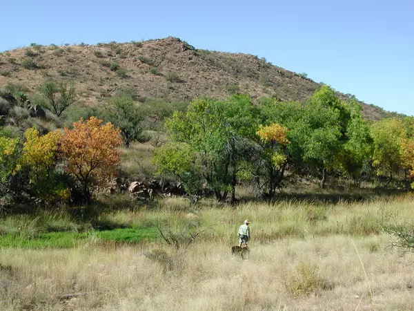 TBD Bond Canyon Road #32/1, Tubac, AZ 85646