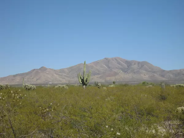 Sahuarita, AZ 85629,S Mann Avenue #1