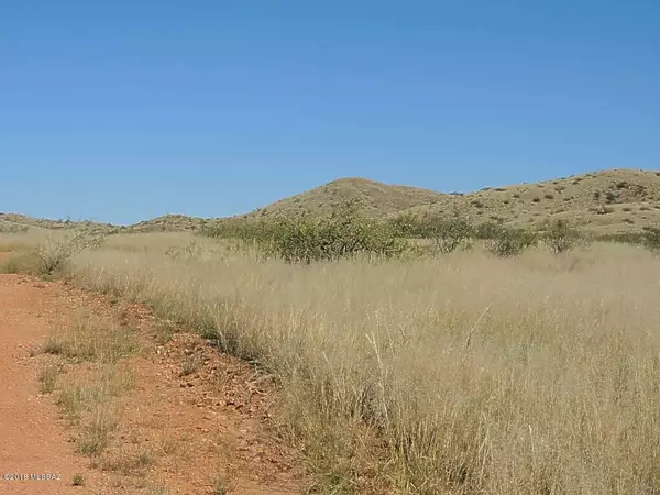 Elfrida, AZ 85610,77 ACRE on Pecos Lane #1