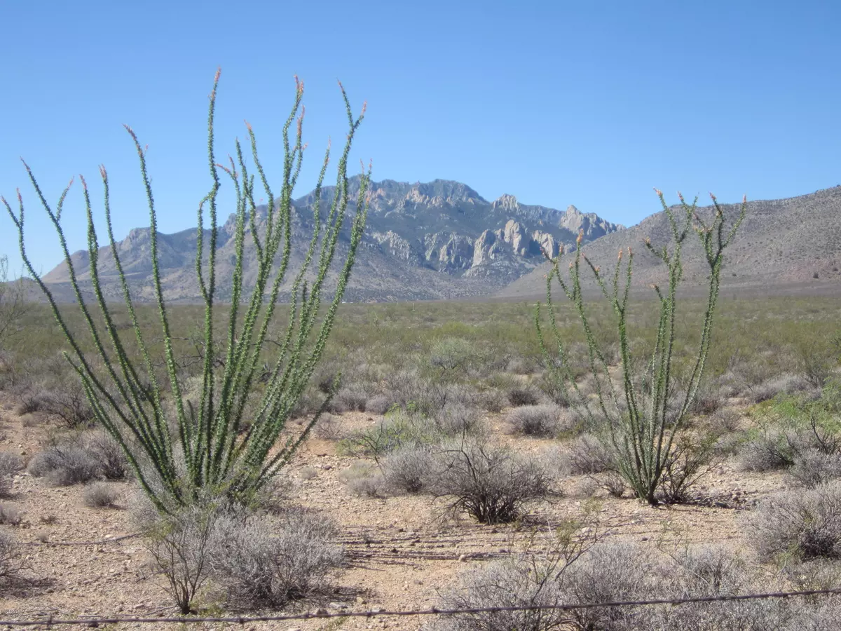 Portal, AZ 85632,Tbd Foothills Road