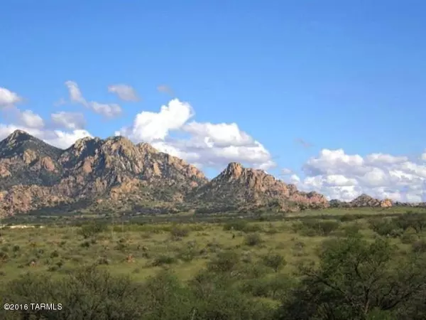 St. David, AZ 85630,Lot 132 N Dragoon Ranch Road #132