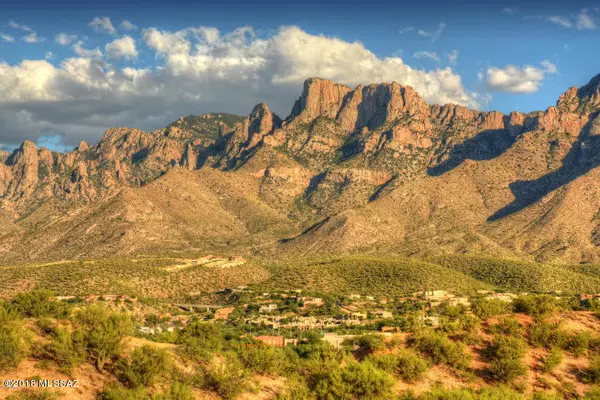 Tucson, AZ 85737,1821 E Vico Bella Luna