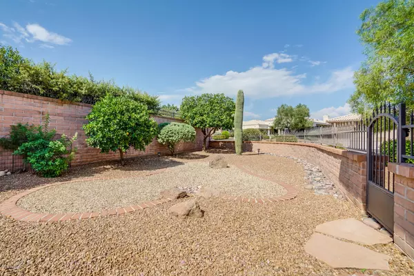 Oro Valley, AZ 85755,14623 N Desert Rock Drive