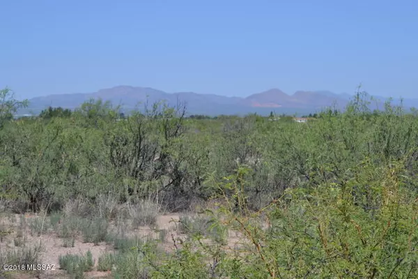 Elfrida, AZ 85610,Tbd 29.5 Ac Mormon Road