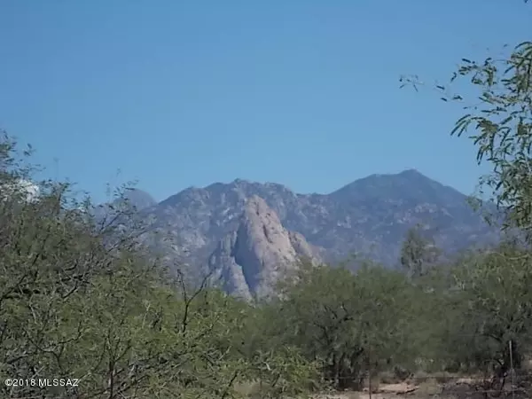 1750 W Dove Way #1750, Amado, AZ 85645