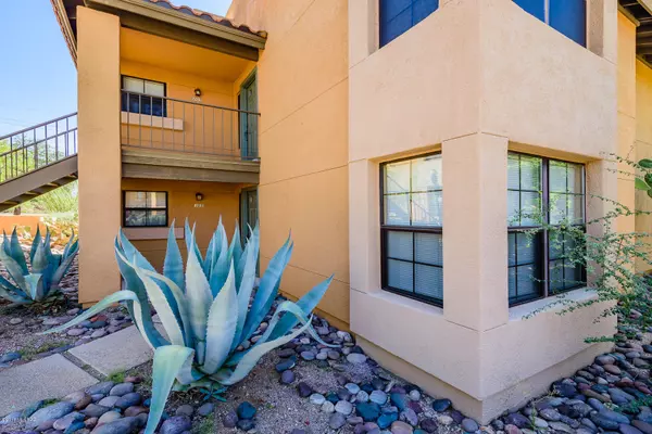 6651 N Campbell Avenue #105, Tucson, AZ 85718