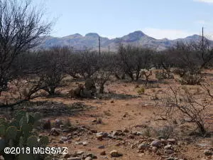 Rio Rico, AZ 85648,326 Peru Court #4/12