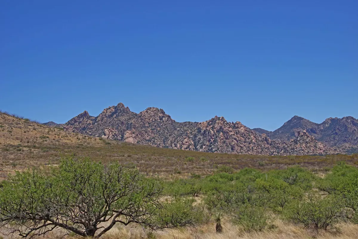 St. David, AZ 85630,Dragoon Mountain Ranch  #89