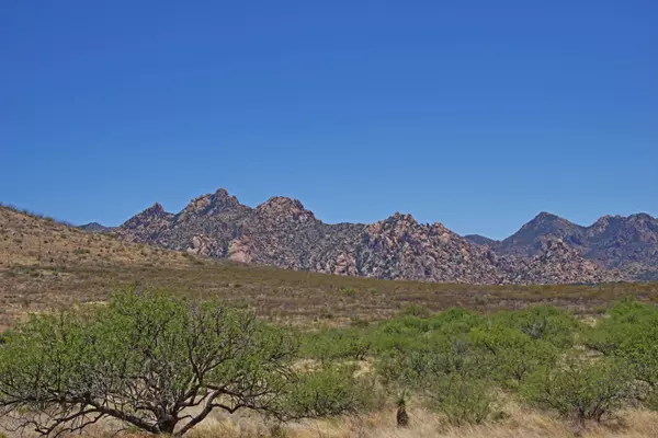 Dragoon Mountain Ranch  #89, St. David, AZ 85630