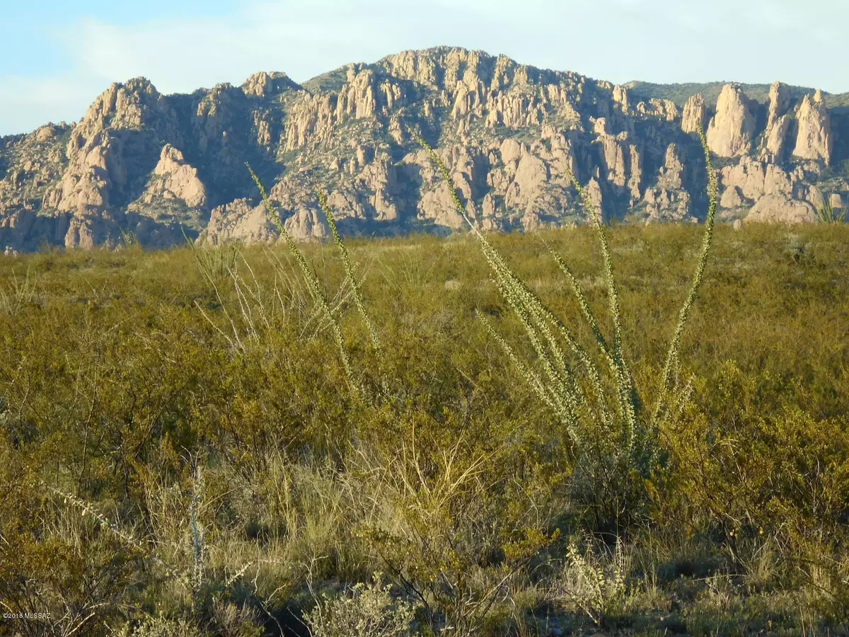 Tombstone, AZ 85638,E. Peaceful Dr.  #22