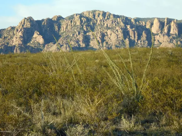 E. Peaceful Dr.  #22, Tombstone, AZ 85638