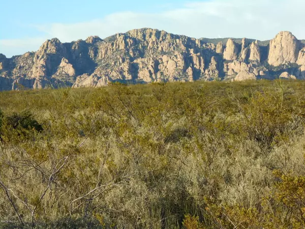 Tombstone, AZ 85638,E. Peaceful Dr.  #22