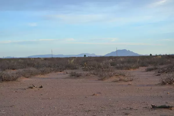 Douglas, AZ 85607,Tbd 203 ac Brooks Road