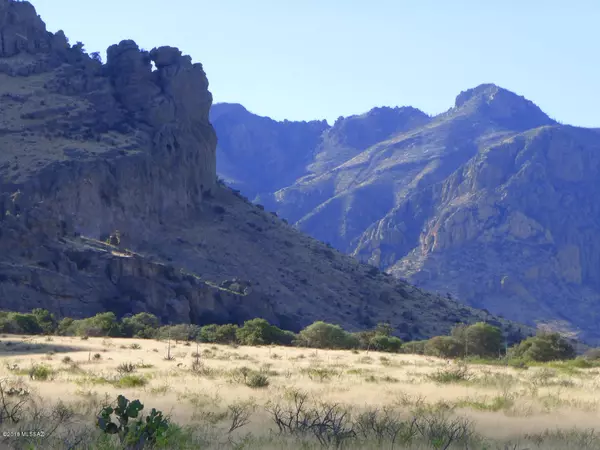 TBD S Owls Butte Trail #28, Portal, AZ 85632