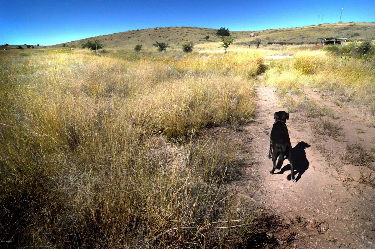 Sonoita, AZ 85637,TBD Mustang Trail #4&5