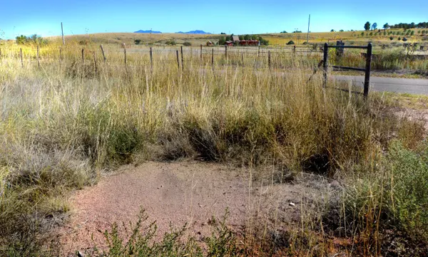 Sonoita, AZ 85637,TBD Mustang Trail #4&5