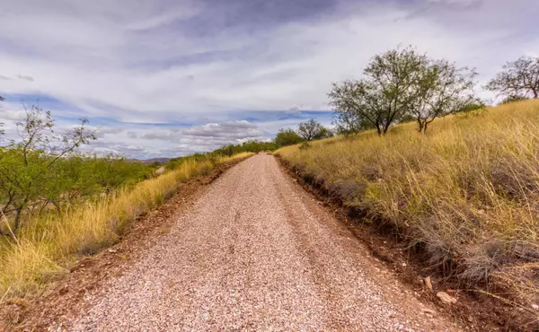 Patagonia, AZ 85624,53 Sonoita Drive